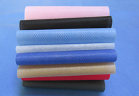 龙湖镇涤纶（PET）无纺布是什么